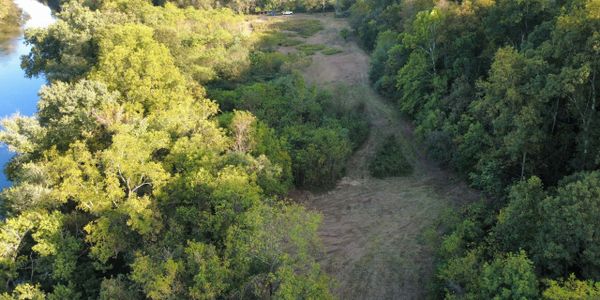 A lush green forest with a clearing and a river on the side.