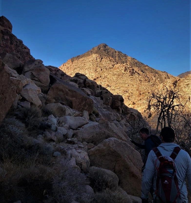 Mt Sinai - Mount Sinai of Saudi Arabia