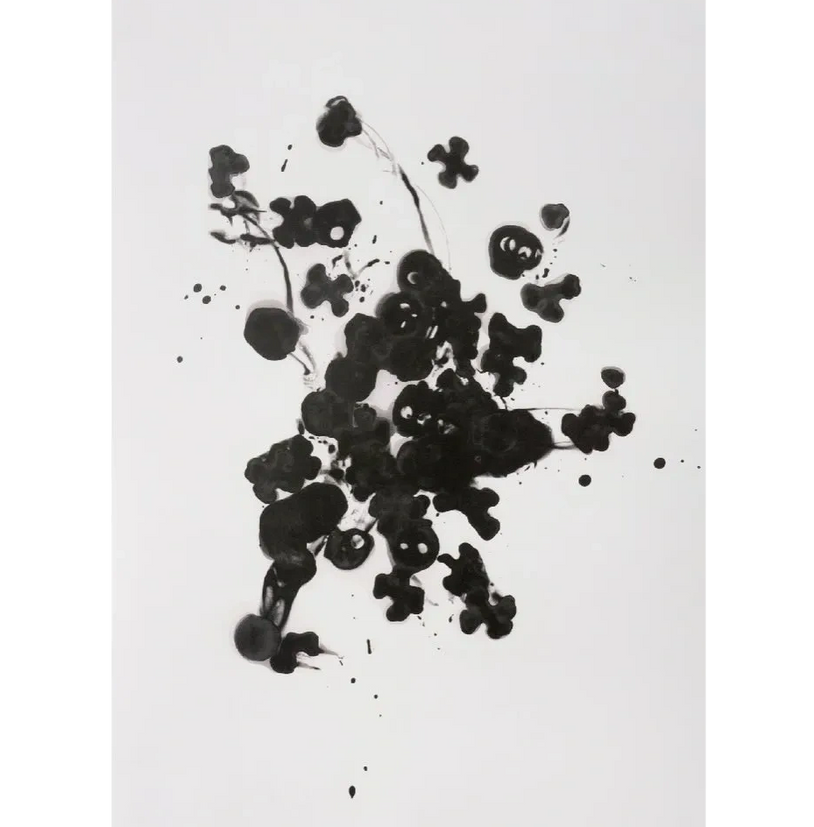 Black Ice by artist Cornelia Parker
Offset lithograph
Edition of 100 