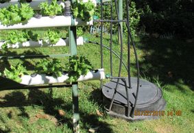 a hydroponic garden