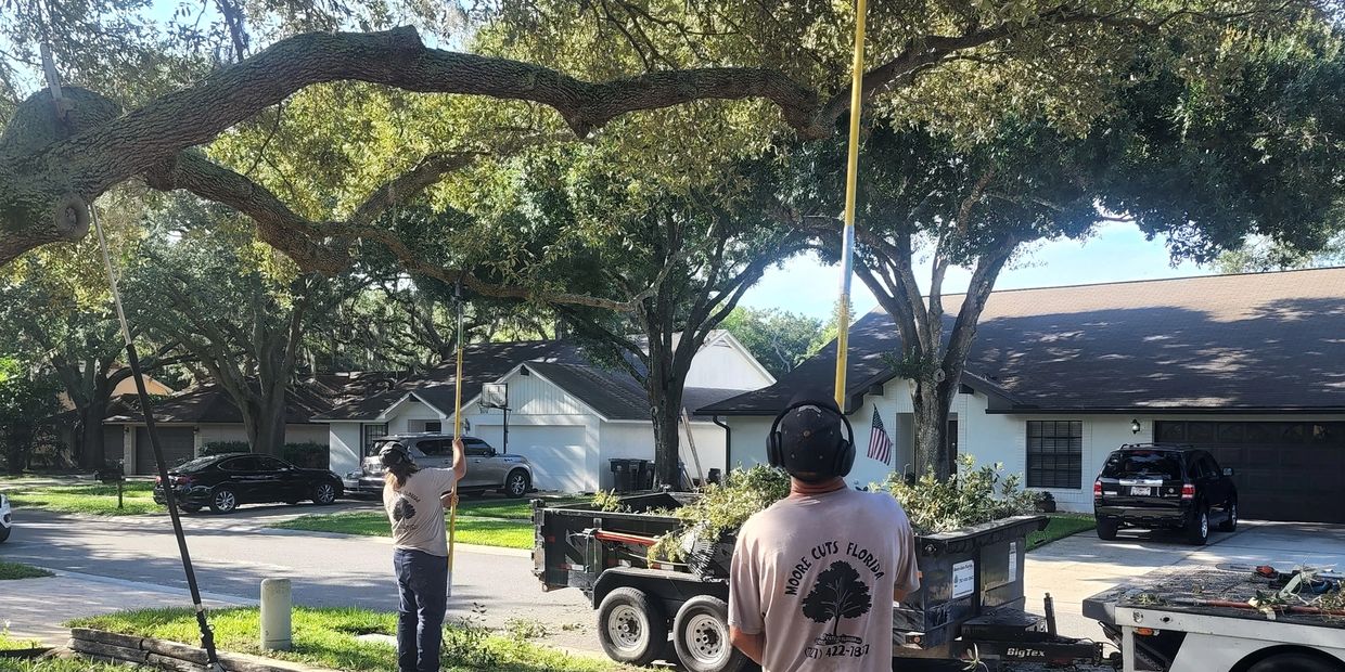 Two men using hand poles while tree trimming in a driveway