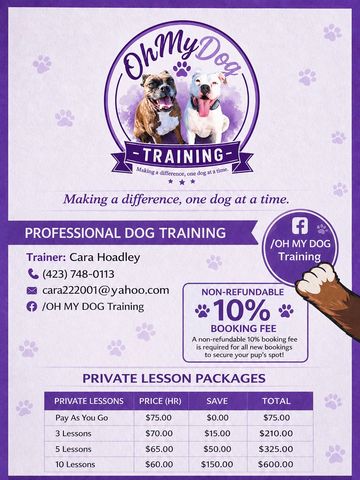 Professional dog training and private lessons with Cara Hoadley.
