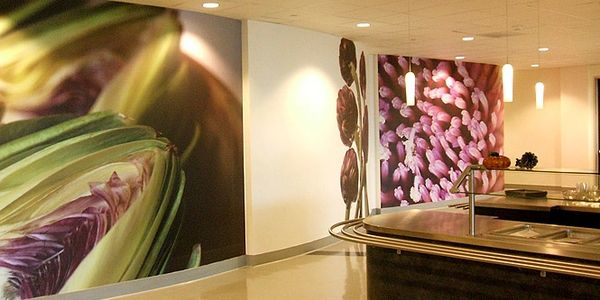 Wall Coverings and Graphics