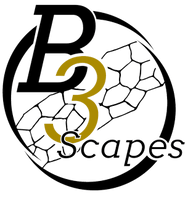 B3 Scapes