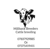 Millbank breeders