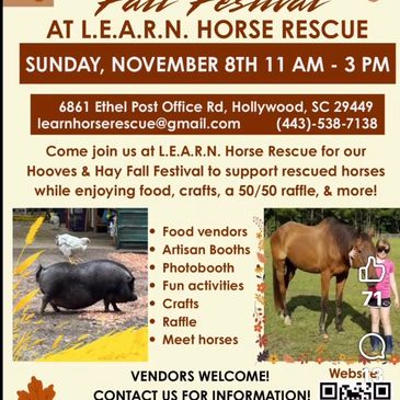 Fall Festival at L.E.A.R.N. Horse Rescue on November 8th.