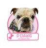 P Dawg Accessories