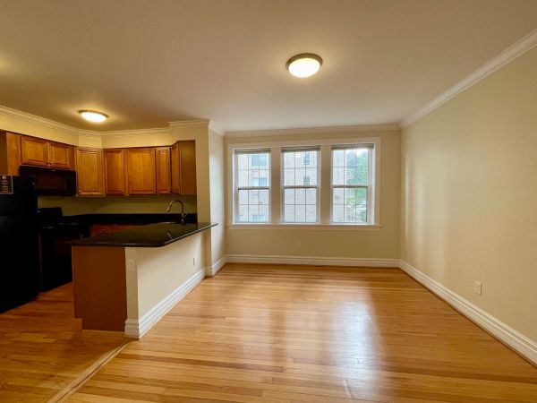 Empty open-concept living room and kitchen with wooden floors and natural light.
