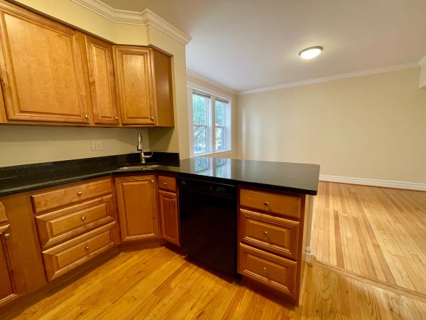 Spacious kitchen corner with wooden cabinets and black countertops.