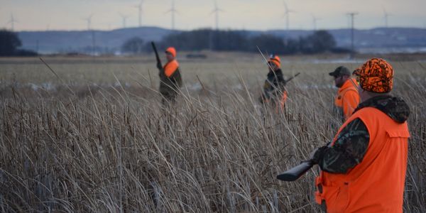 South Dakota Pheasant Hunting Guided Packages | Coteau ...