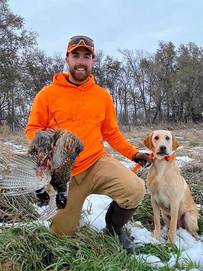 South Dakota Pheasant Hunts