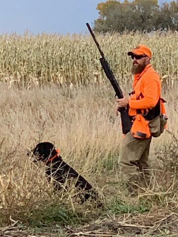 South Dakota Pheasant Hunting Guide