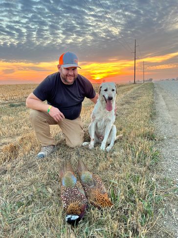 South Dakota Pheasant Hunting