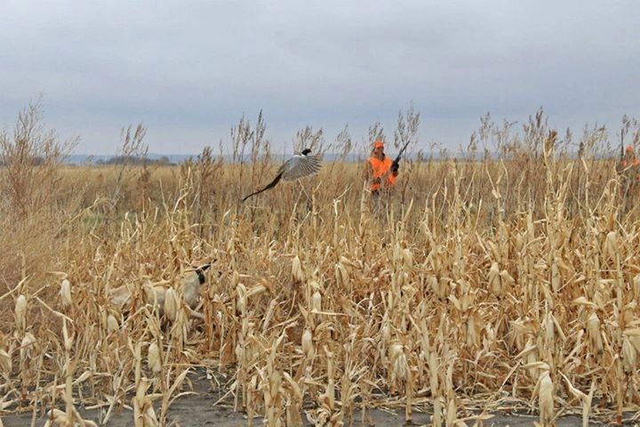 Coteau View Hunts photo 4