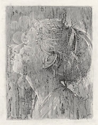 Serene Affinity
Pencil on paper
11 x 14”
2012
SOLD
