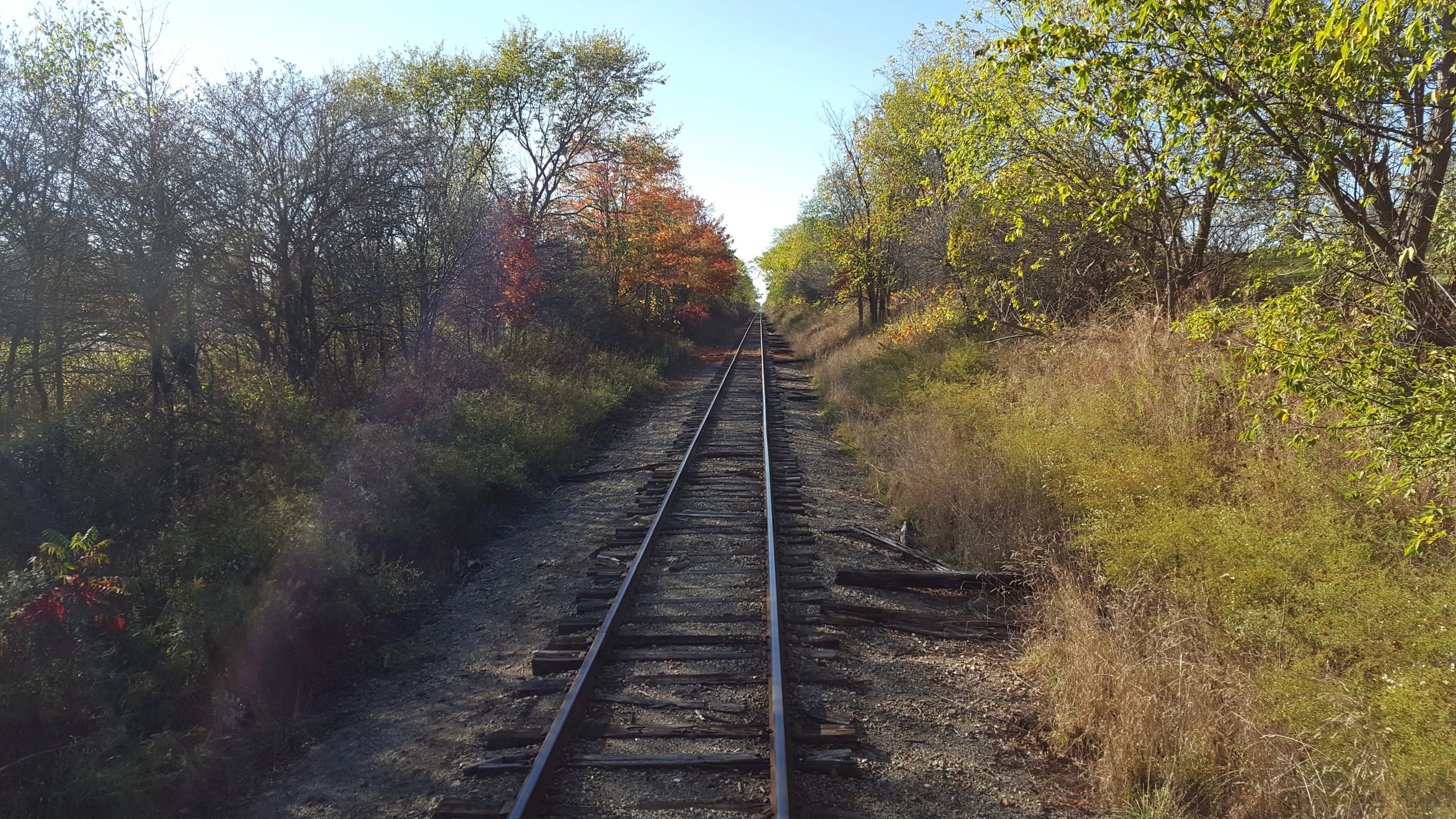 Friends of Coopersville and Marne Railway