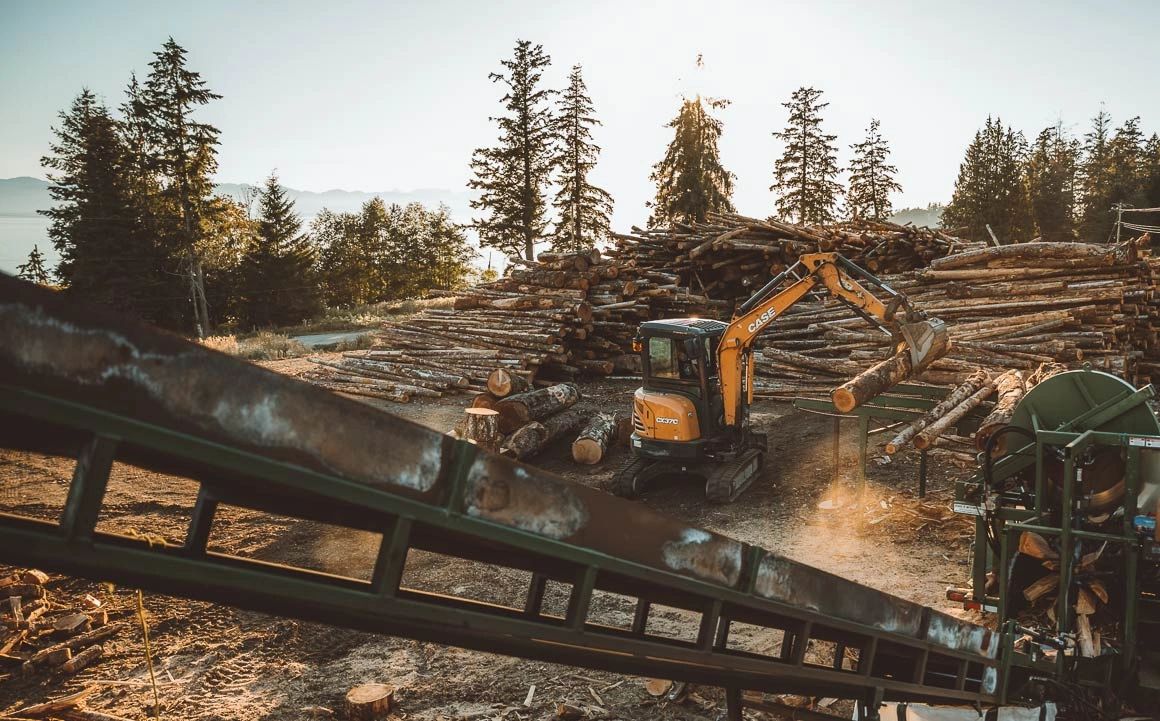 Excavator in a lumber yard  loading logs onto conveyor
