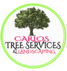 CARLOS HANDYMAN 
MULTI-SERVICES