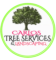 CARLOS HANDYMAN 
MULTI-SERVICES
