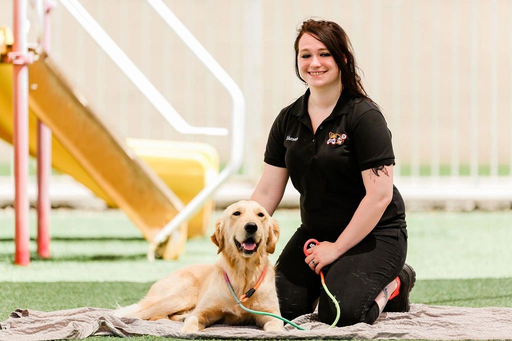 Glendale Dogs 24/7 Dog Boarding, Dog Daycare, Dog Grooming