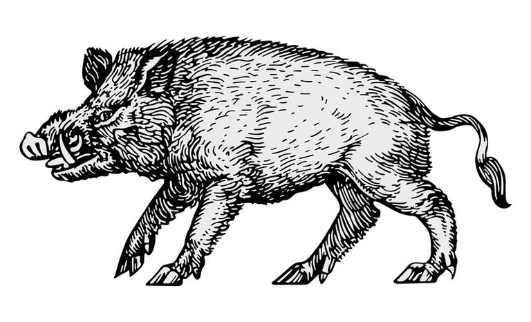 image16