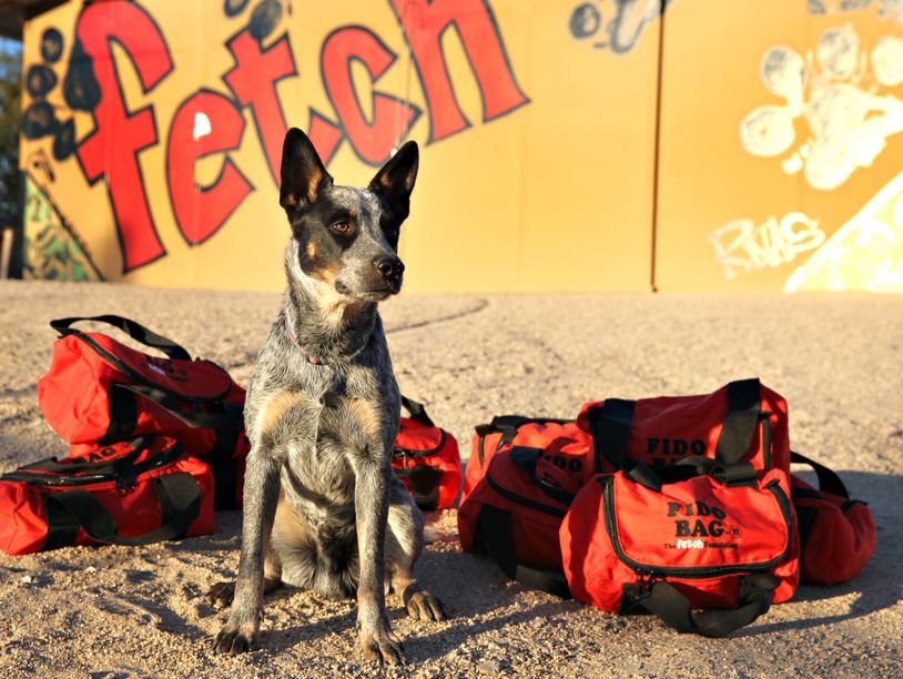 Fido dog bags sales