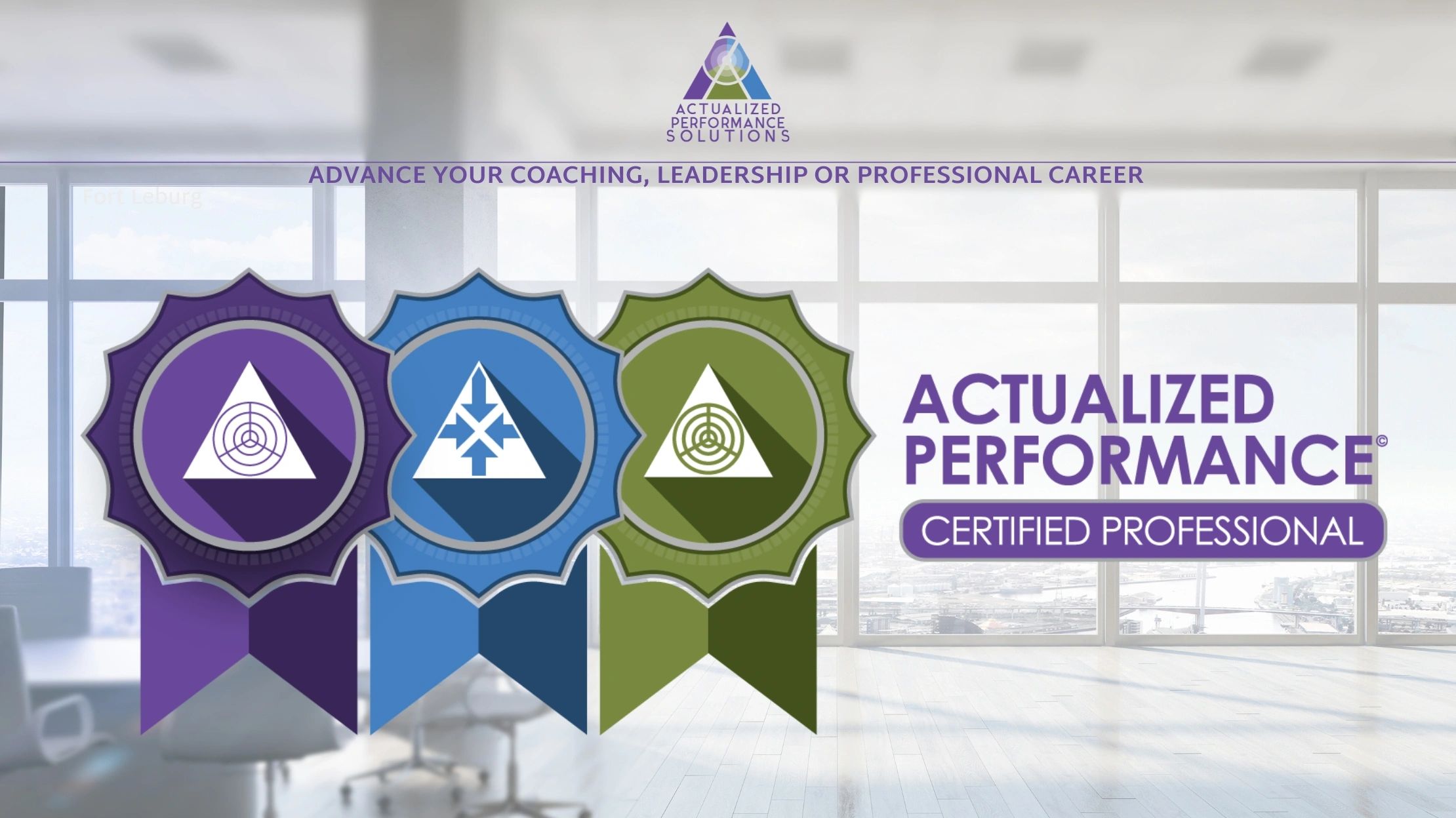 Actualized Performance Solutions Certified Professional, shadow work, teamwork, Actualized Teamwork