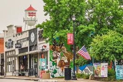 Frisco Lakes real estate agent Lisa Henderson
Frisco TX real estate broker Lisa Henderson Realty
