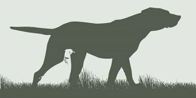 Kent Clay Pigeon Shooting
Sussex Clay Pigeon Shooting
Shotgun safety courses
Shotgun safety training