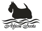 Afton Scottish Terriers