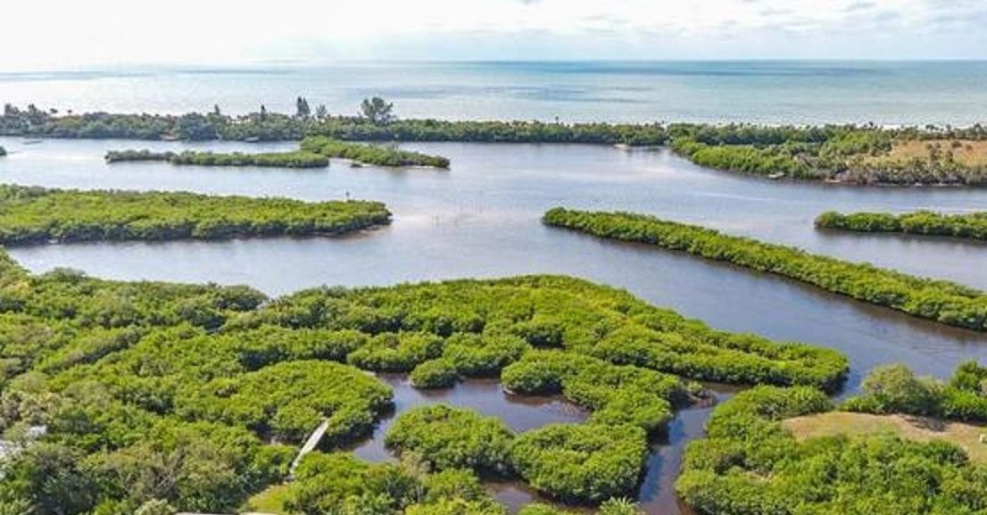 Kayak Rental, Secluded Beach Access Kayak Venice Venice, Florida