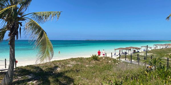Two people stand on a Caribbean beach, with a palm tree and grass in the foreground.