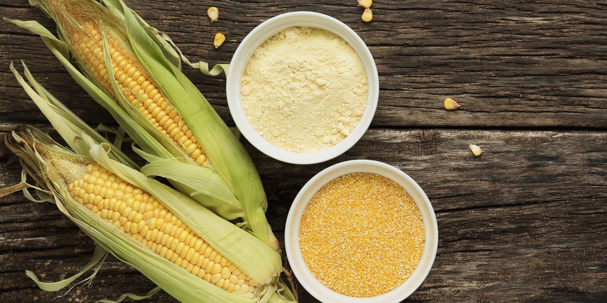 Bowls of Grits and Cornmeal beside corn cobs with husks