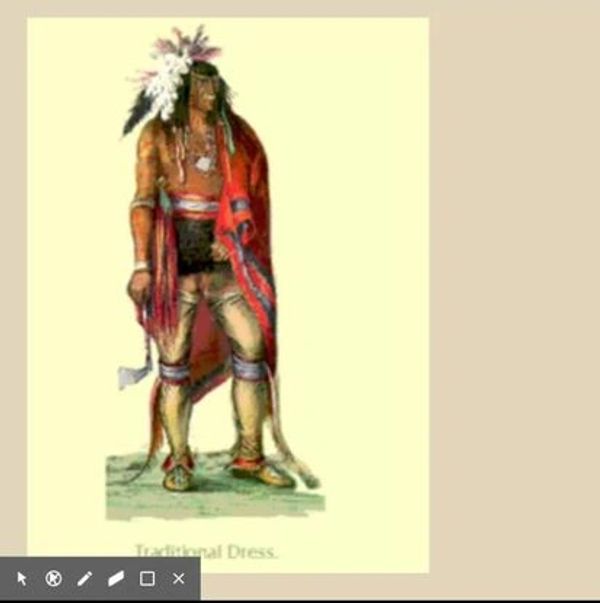 A sketch of a native American