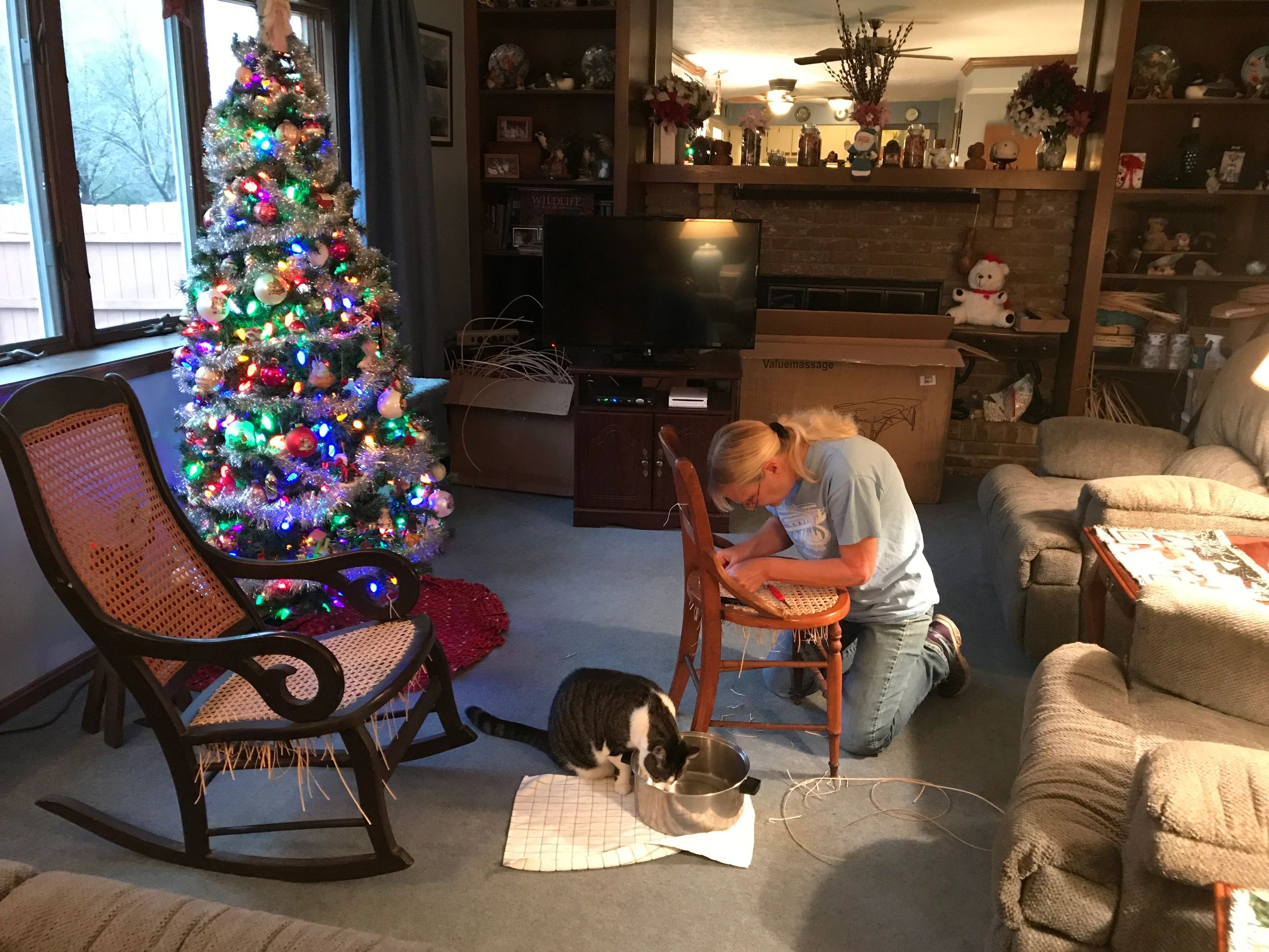 The Chair Repair Shop Chair Repair, Caning, Rush, Wicker