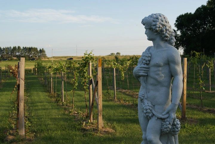 Buffalo Rock Winery hero image