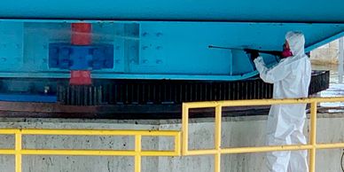 Venice Commercial Bird Control