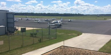 Tampa Airport Bird Control