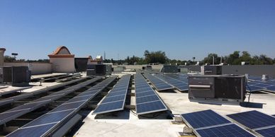 Jacksonville Bird Control Deterrent Installation 