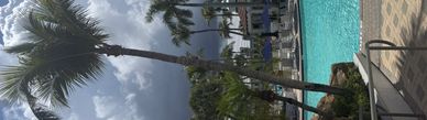 Tall palm trees beside a clear blue pool under a cloudy sky.