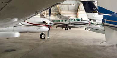Airport & Military Bird Control - Jacksonville