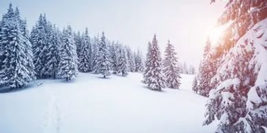 Snowfall in the Rocky Mountains