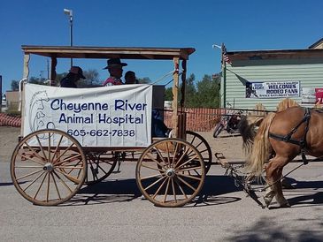Cheyenne River Animal Hospital Cheyenne River Animal Hospital