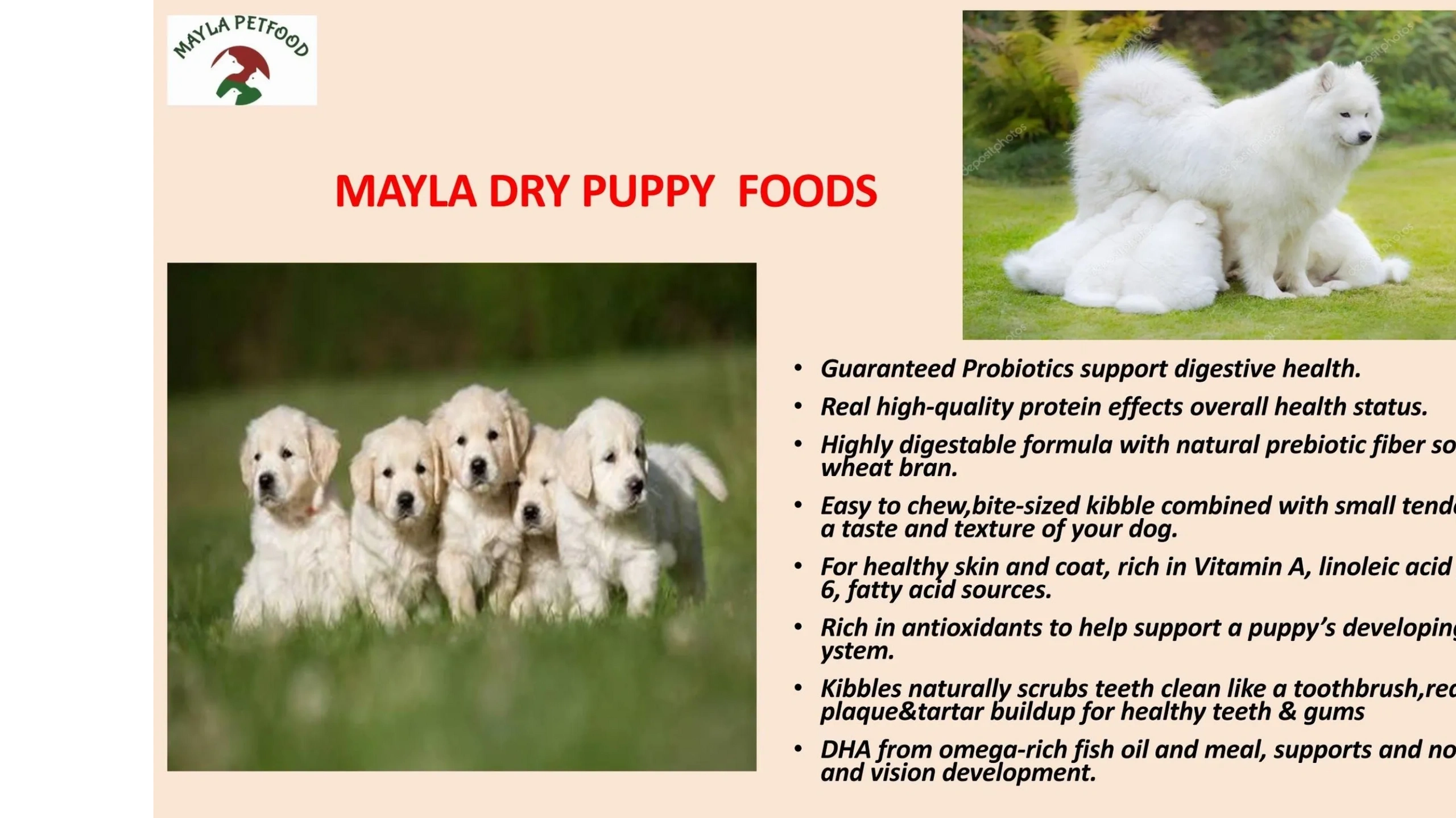 dry puppy foods