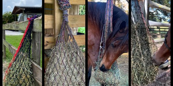 Four images showing hay nets hanging and being eaten by horses.