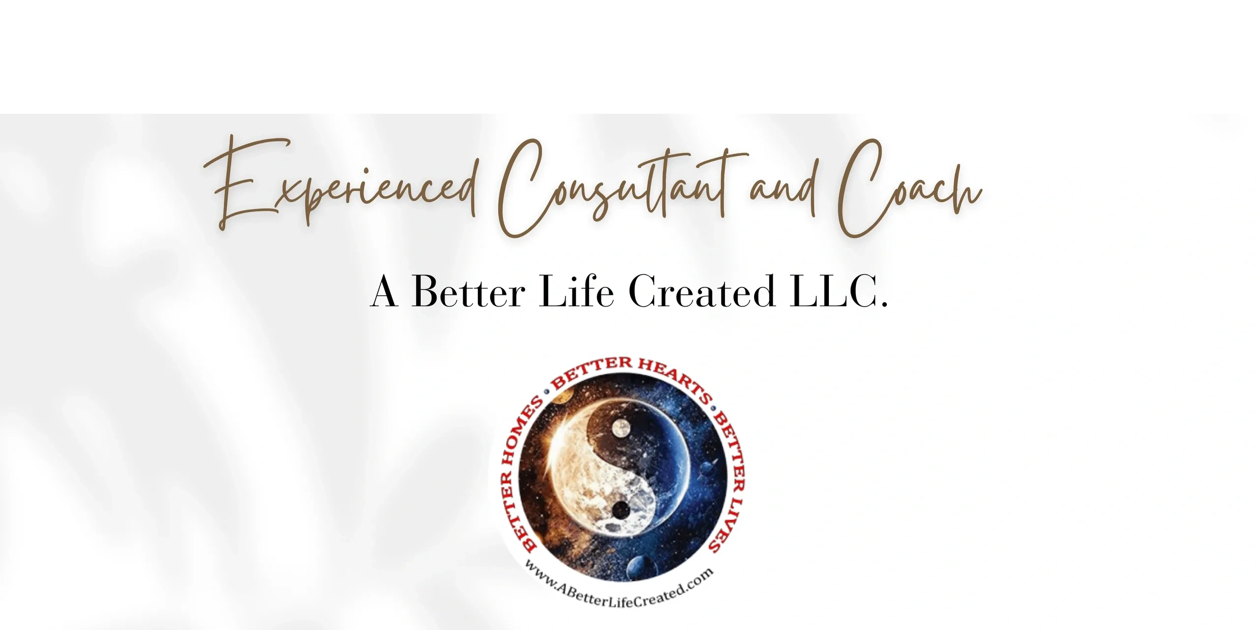 a-better-life-created-a-better-life-created-llc-consulting