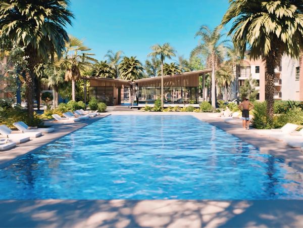 Modern outdoor pool surrounded by palm trees and lounge chairs on a sunny day.