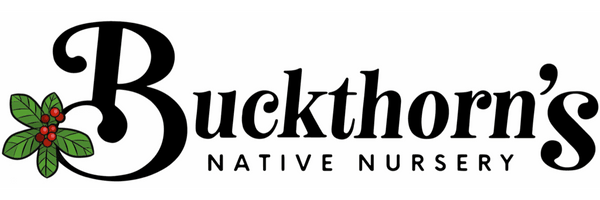 Buckthorn's Native Nursery