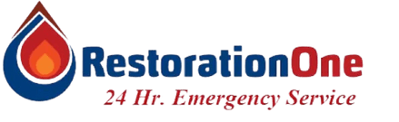 Restoration One Inc     
