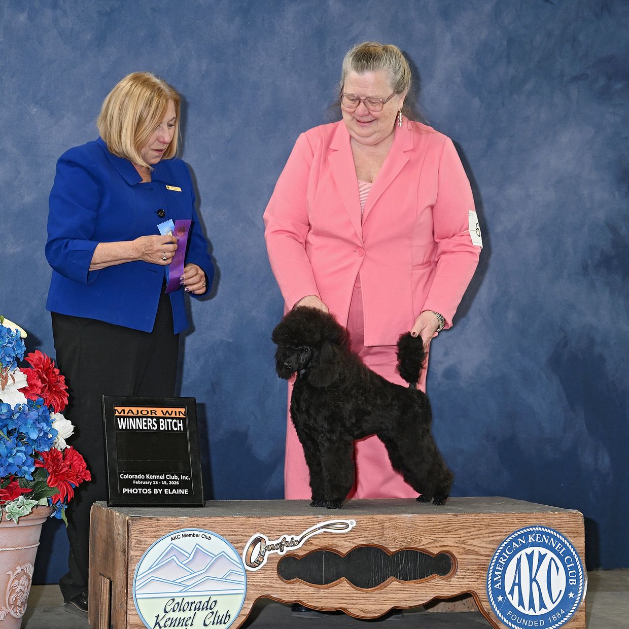 Dog show winner with handler and judge.